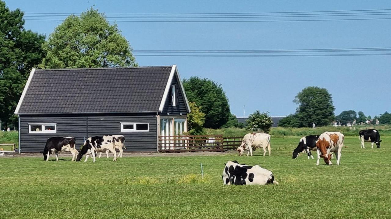 City Farmers Lodge, A Guesthouse With A Skyline View In Rural Amsterdam Exterior foto